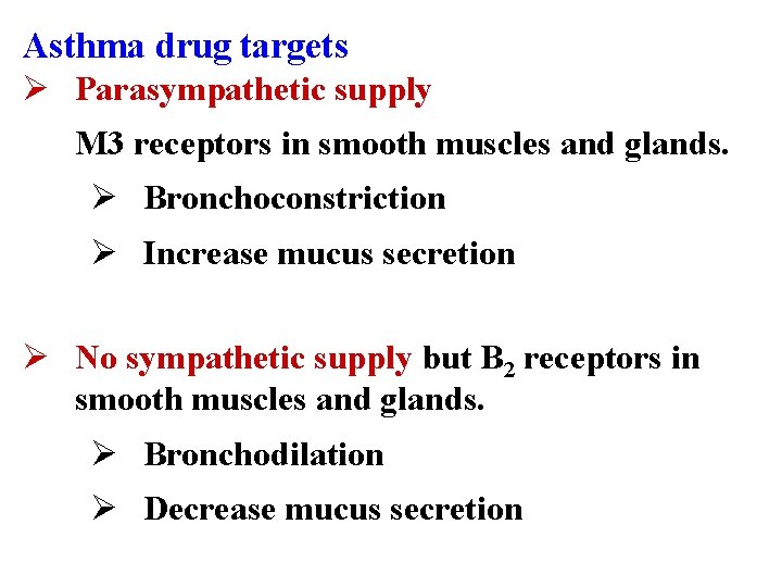 Asthma drug targets Ø Parasympathetic supply M 3 receptors in smooth muscles and glands.