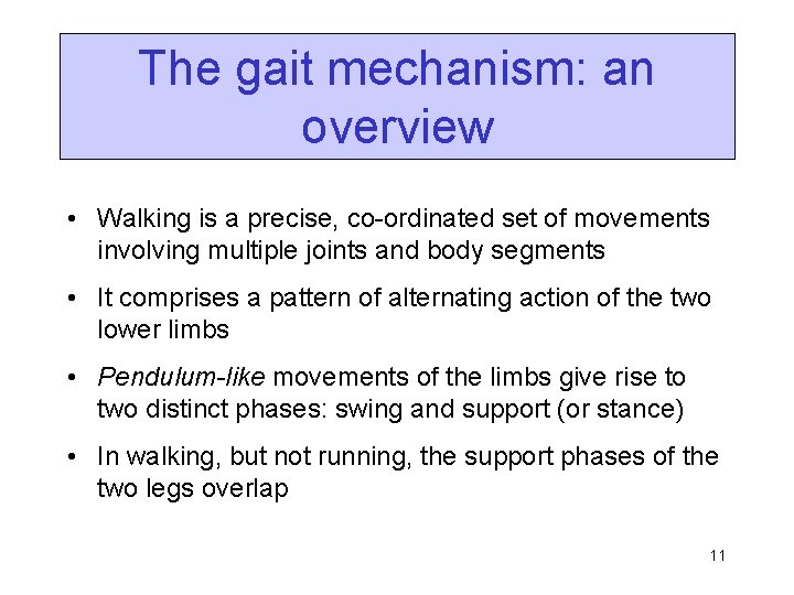 The gait mechanism: an overview • Walking is a precise, co-ordinated set of movements