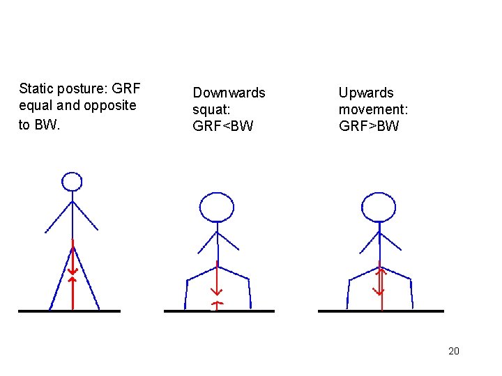 Static posture: GRF equal and opposite to BW. Downwards squat: GRF<BW Upwards movement: GRF>BW