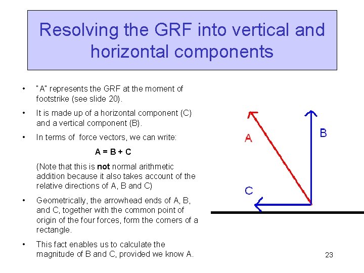 Resolving the GRF into vertical and horizontal components • “A” represents the GRF at