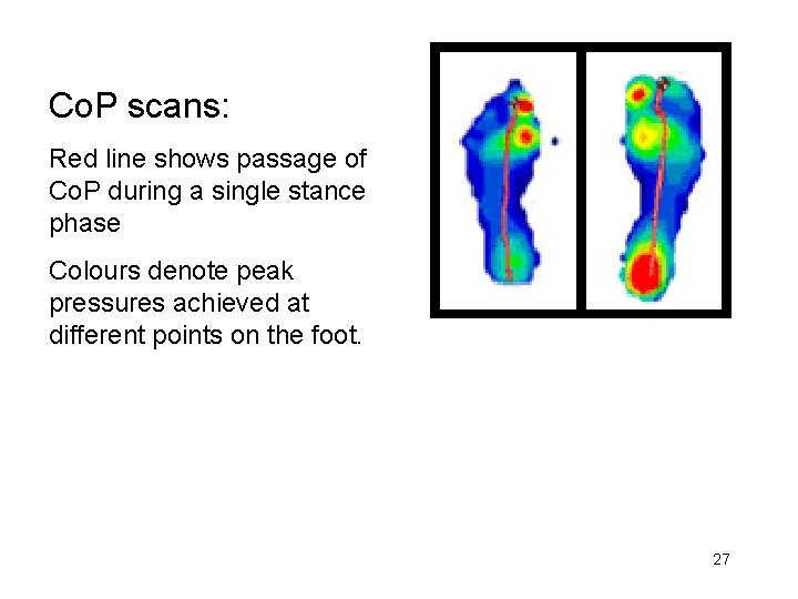 Co. P scans: Red line shows passage of Co. P during a single stance