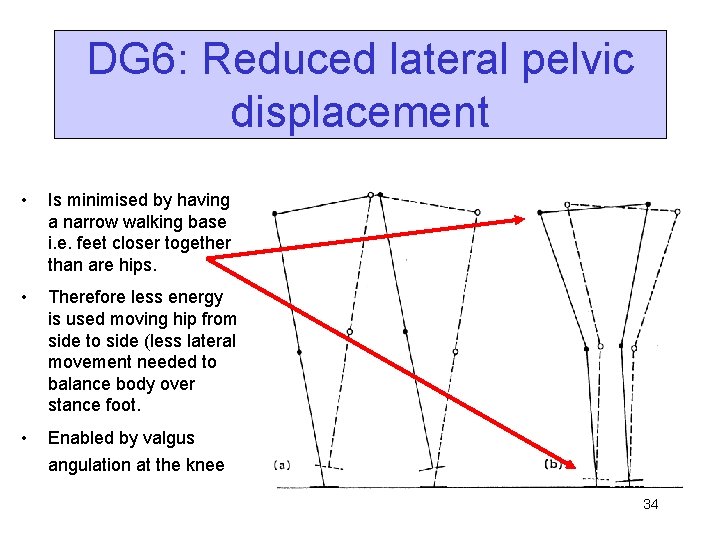 DG 6: Reduced lateral pelvic displacement • Is minimised by having a narrow walking