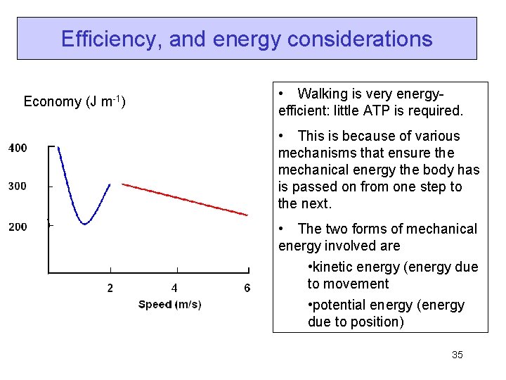Efficiency, and energy considerations Economy (J m-1) • Walking is very energyefficient: little ATP