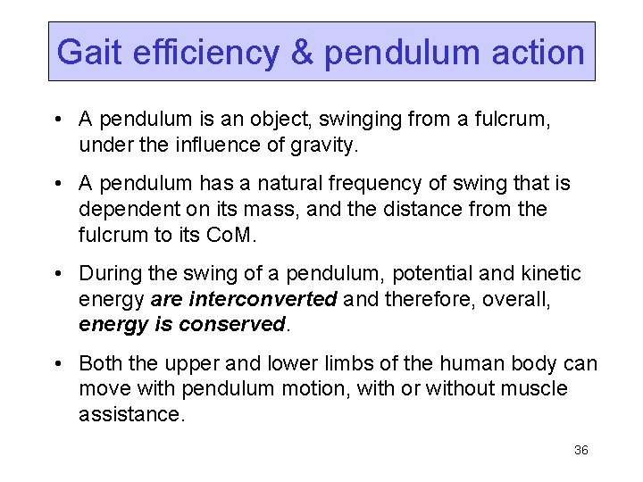 Gait efficiency & pendulum action • A pendulum is an object, swinging from a