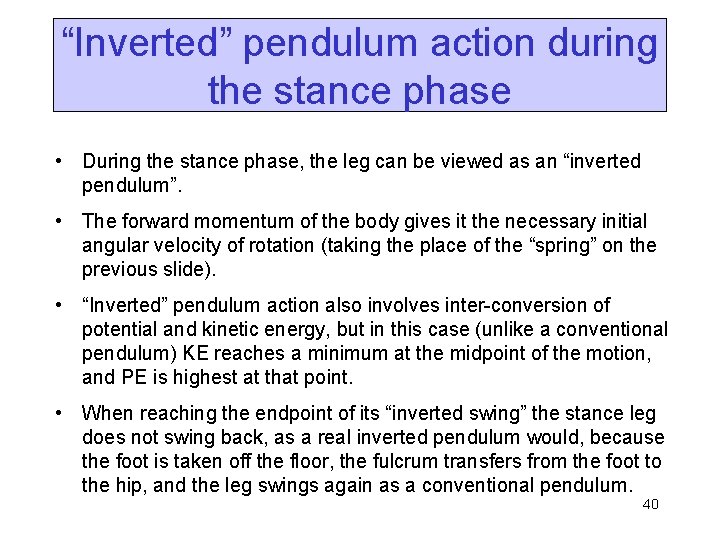 “Inverted” pendulum action during the stance phase • During the stance phase, the leg
