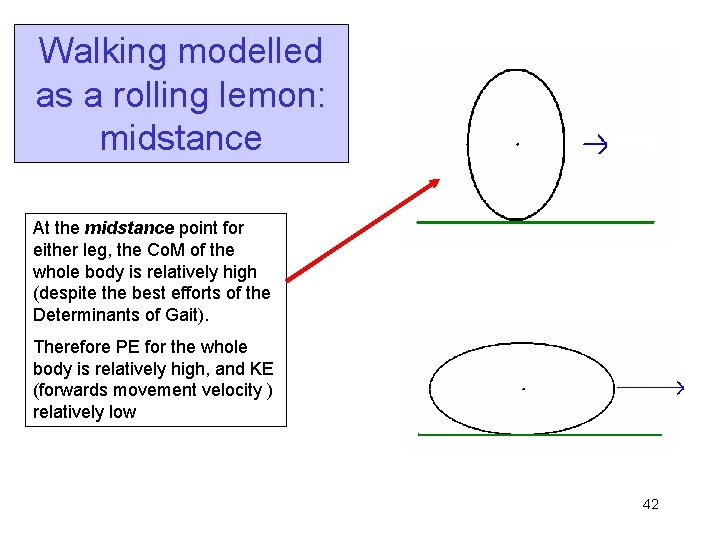 Walking modelled as a rolling lemon: midstance At the midstance point for either leg,