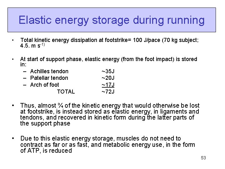 Elastic energy storage during running • Total kinetic energy dissipation at footstrike= 100 J/pace