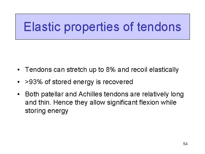 Elastic properties of tendons • Tendons can stretch up to 8% and recoil elastically