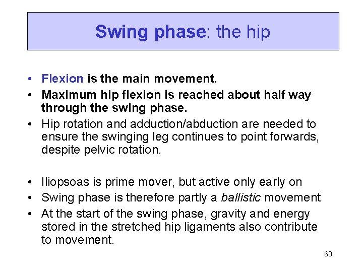 Swing phase: the hip • Flexion is the main movement. • Maximum hip flexion