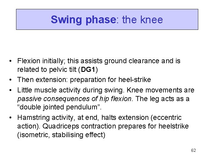 Swing phase: the knee • Flexion initially; this assists ground clearance and is related