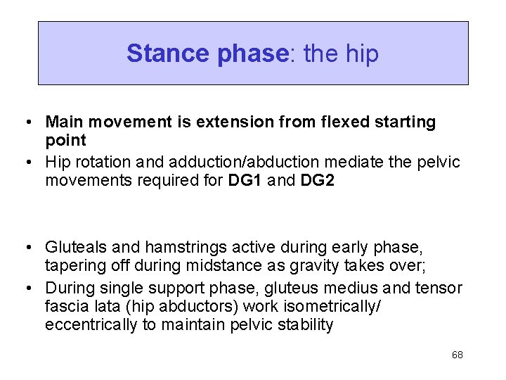 Stance phase: the hip • Main movement is extension from flexed starting point •