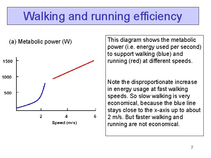 Walking and running efficiency (a) Metabolic power (W) This diagram shows the metabolic power