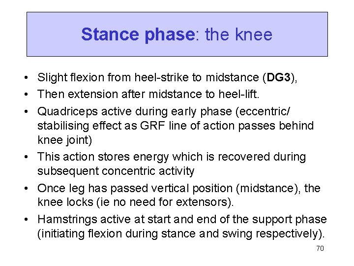 Stance phase: the knee • Slight flexion from heel-strike to midstance (DG 3), •