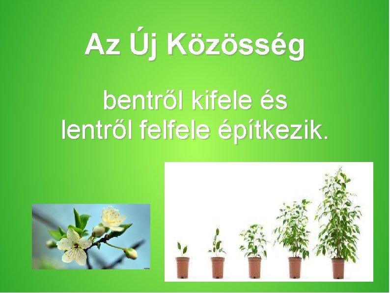 Az Új Közösség bentről kifele és lentről felfele építkezik. 