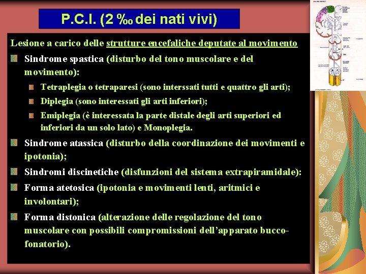 P. C. I. (2 ‰ dei nati vivi) Lesione a carico delle strutture encefaliche