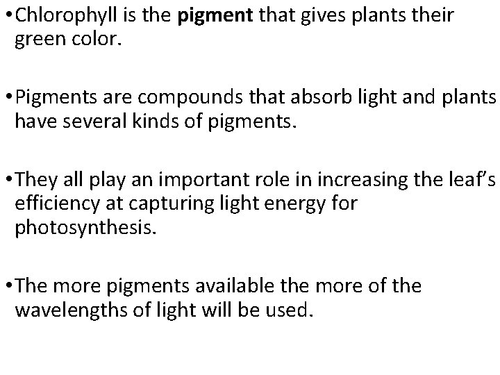  • Chlorophyll is the pigment that gives plants their green color. • Pigments