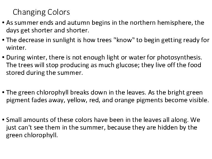 Changing Colors • As summer ends and autumn begins in the northern hemisphere, the