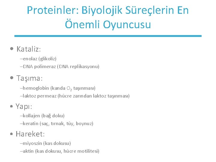 Proteinler: Biyolojik Süreçlerin En Önemli Oyuncusu • Kataliz: –enolaz (glikoliz) –DNA polimeraz (DNA replikasyonu)