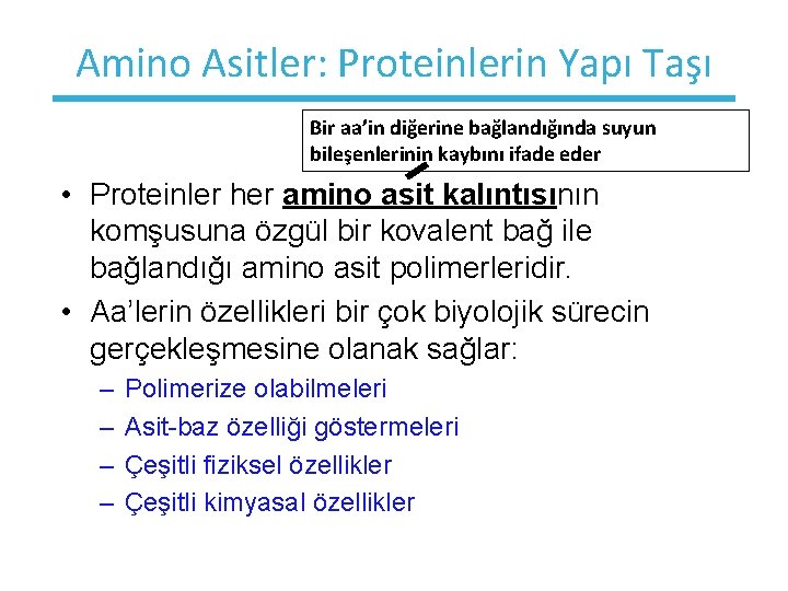 Amino Asitler: Proteinlerin Yapı Taşı Bir aa’in diğerine bağlandığında suyun bileşenlerinin kaybını ifade eder