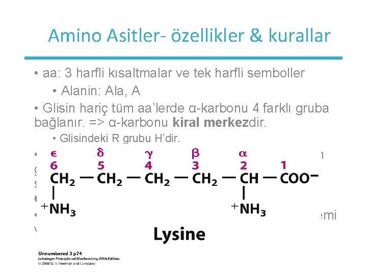 Amino Asitler- özellikler & kurallar • aa: 3 harfli kısaltmalar ve tek harfli semboller