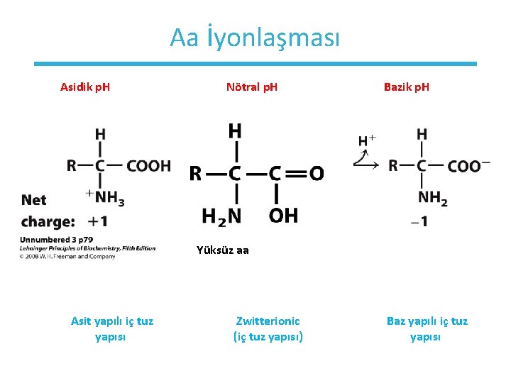 Aa İyonlaşması Asidik p. H Nötral p. H Bazik p. H Yüksüz aa Asit