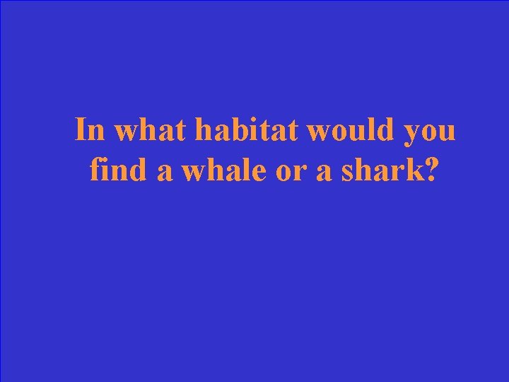 In what habitat would you find a whale or a shark? 