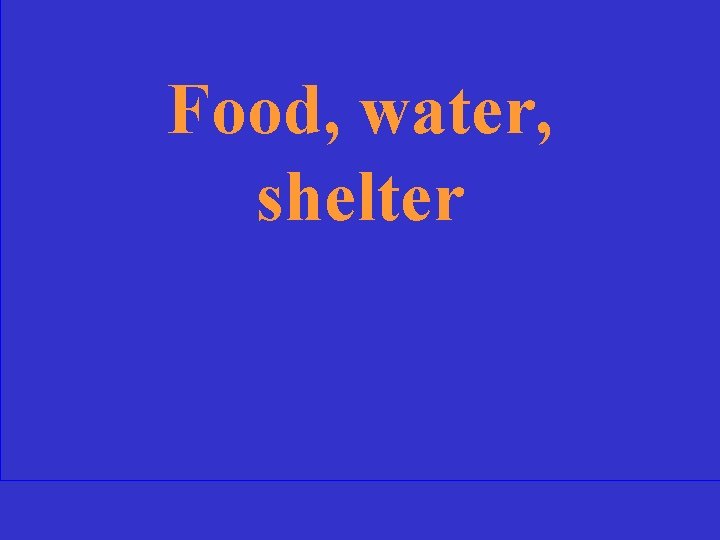 Food, water, shelter 