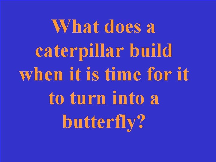 What does a caterpillar build when it is time for it to turn into