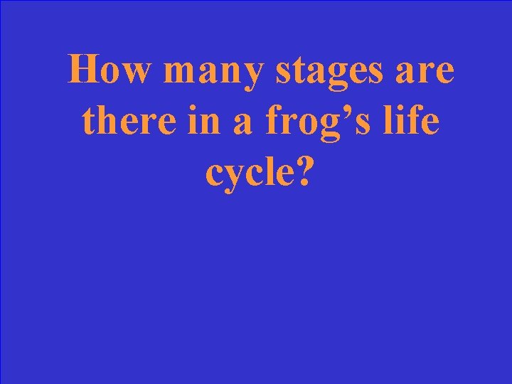 How many stages are there in a frog’s life cycle? 