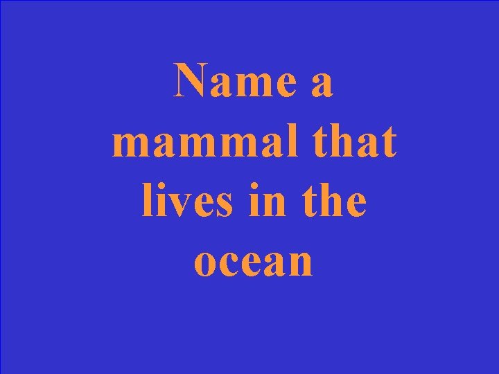 Name a mammal that lives in the ocean 