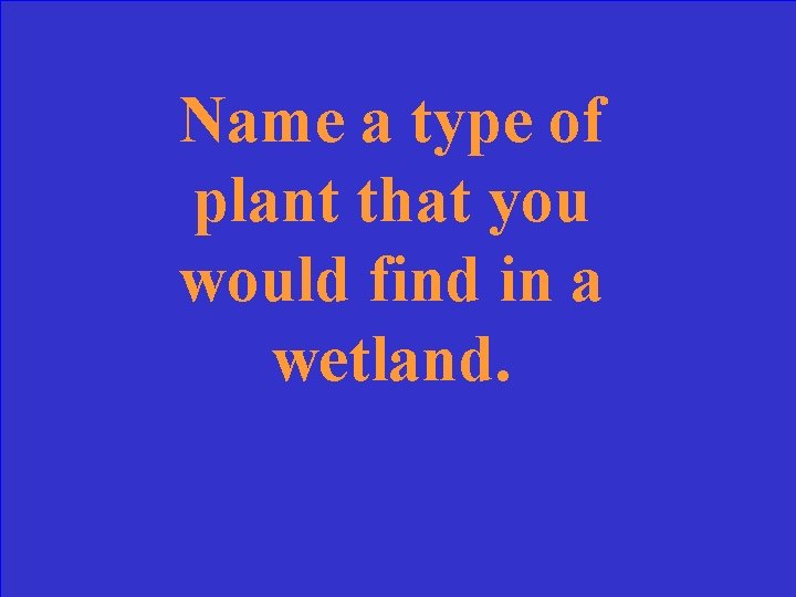 Name a type of plant that you would find in a wetland. 