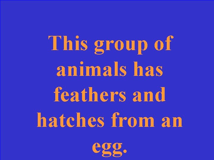 This group of animals has feathers and hatches from an egg. 