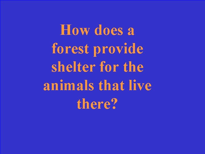 How does a forest provide shelter for the animals that live there? 
