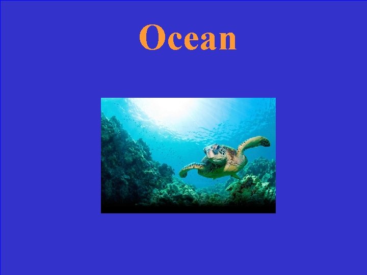 Ocean 