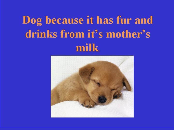 Dog because it has fur and drinks from it’s mother’s milk. 