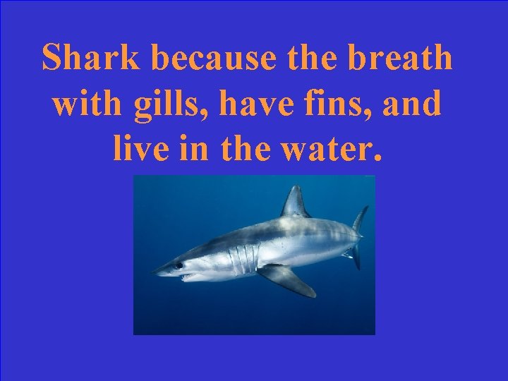 Shark because the breath with gills, have fins, and live in the water. 