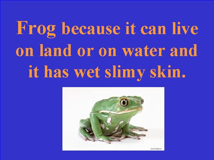 Frog because it can live on land or on water and it has wet