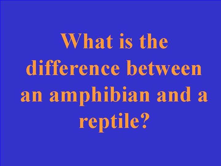 What is the difference between an amphibian and a reptile? 
