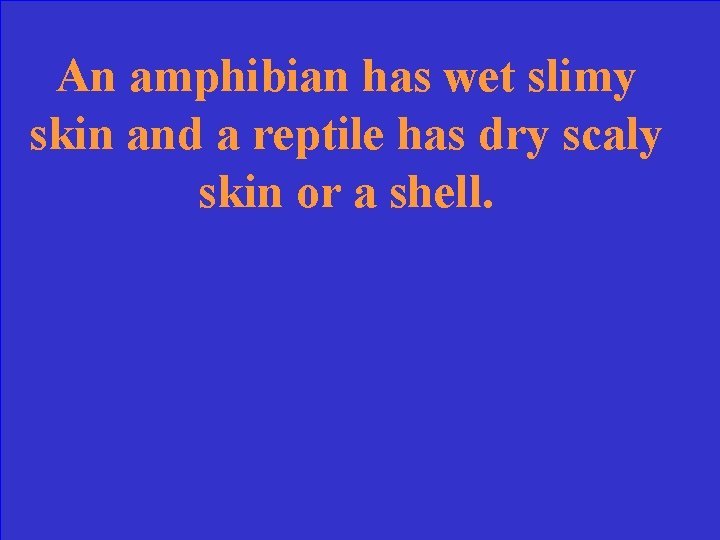 An amphibian has wet slimy skin and a reptile has dry scaly skin or