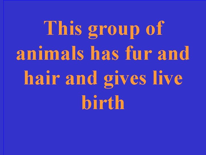 This group of animals has fur and hair and gives live birth 