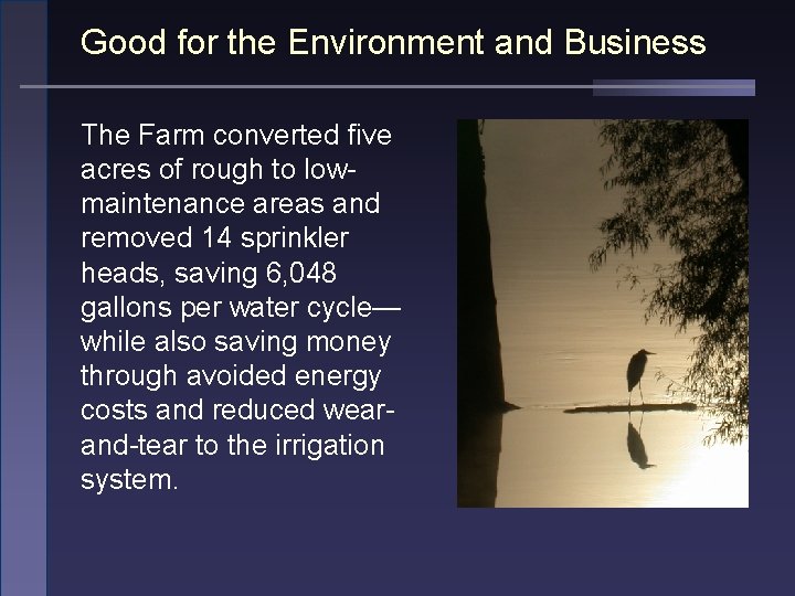 Good for the Environment and Business The Farm converted five acres of rough to