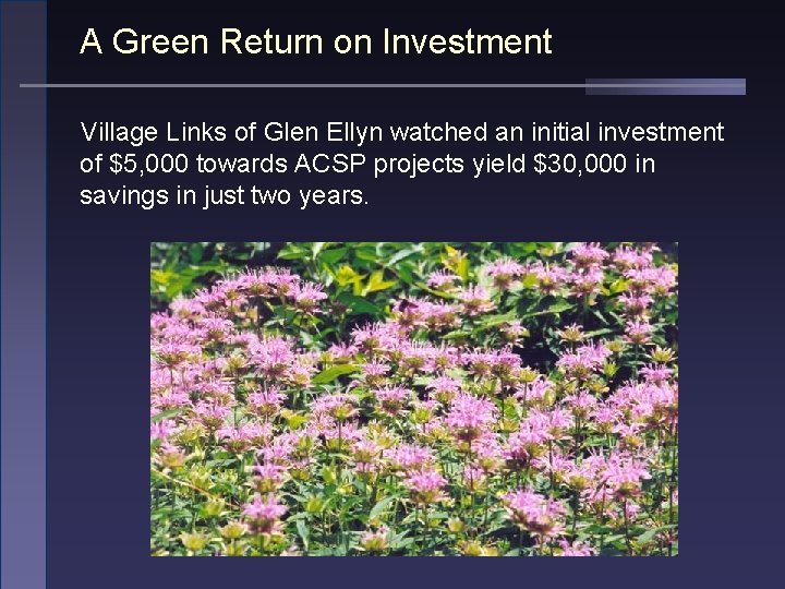 A Green Return on Investment Village Links of Glen Ellyn watched an initial investment