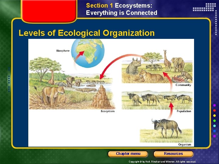 Section 1 Ecosystems: Everything is Connected Levels of Ecological Organization Chapter menu Resources Copyright