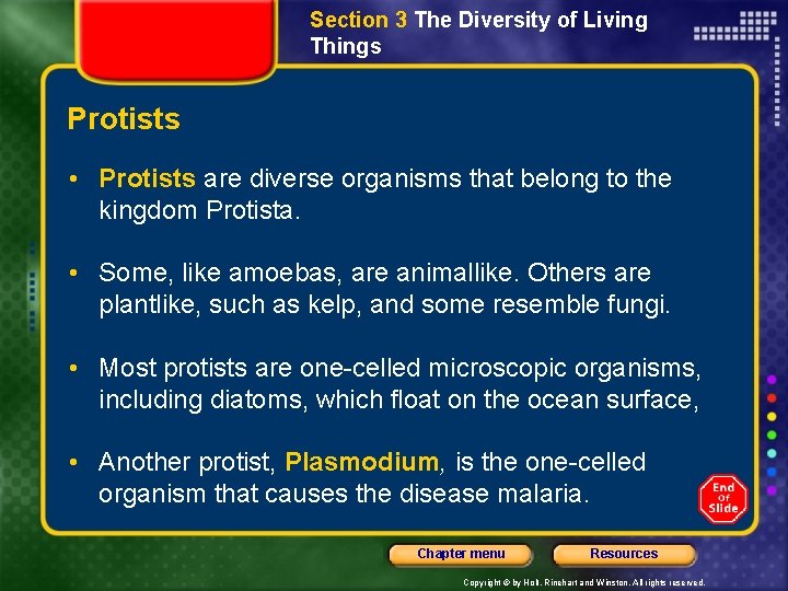 Section 3 The Diversity of Living Things Protists • Protists are diverse organisms that