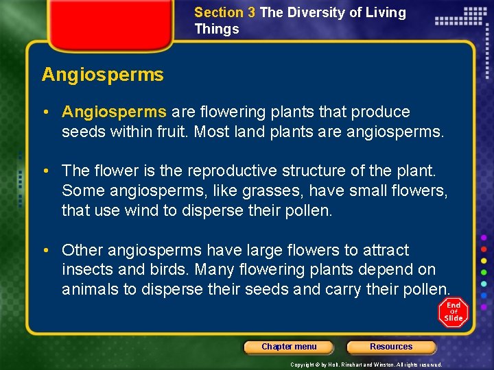 Section 3 The Diversity of Living Things Angiosperms • Angiosperms are flowering plants that