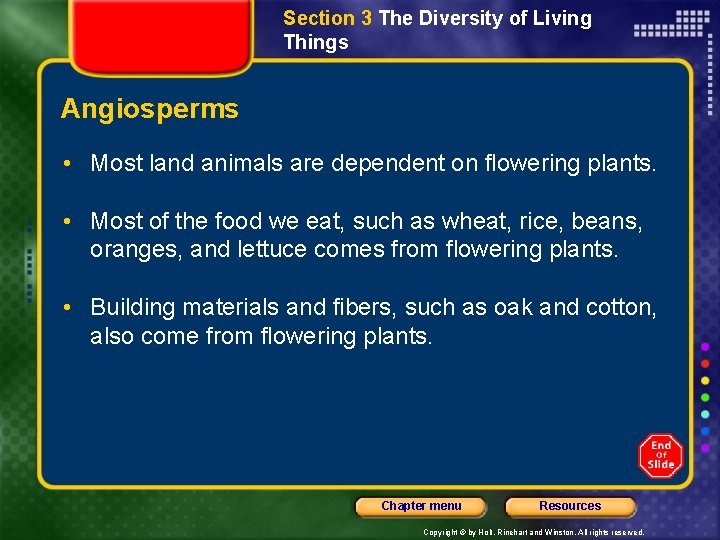 Section 3 The Diversity of Living Things Angiosperms • Most land animals are dependent