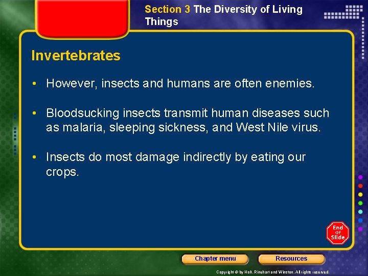 Section 3 The Diversity of Living Things Invertebrates • However, insects and humans are