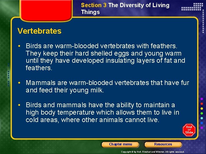 Section 3 The Diversity of Living Things Vertebrates • Birds are warm-blooded vertebrates with