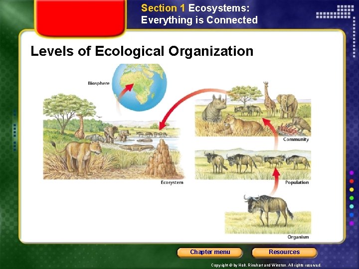 Section 1 Ecosystems: Everything is Connected Levels of Ecological Organization Chapter menu Resources Copyright