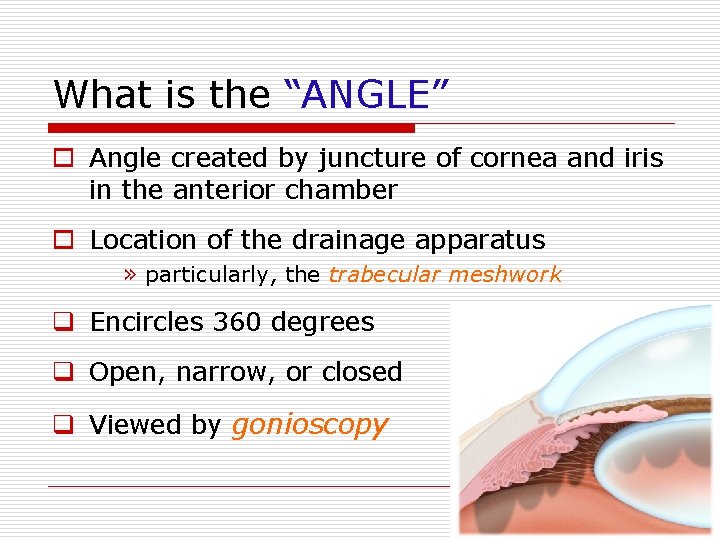What is the “ANGLE” o Angle created by juncture of cornea and iris in
